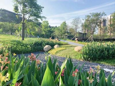 集生態(tài)種植、科普體驗、觀光游樂于一體 西麗生態(tài)公園打造兒童友好游學(xué)新路徑